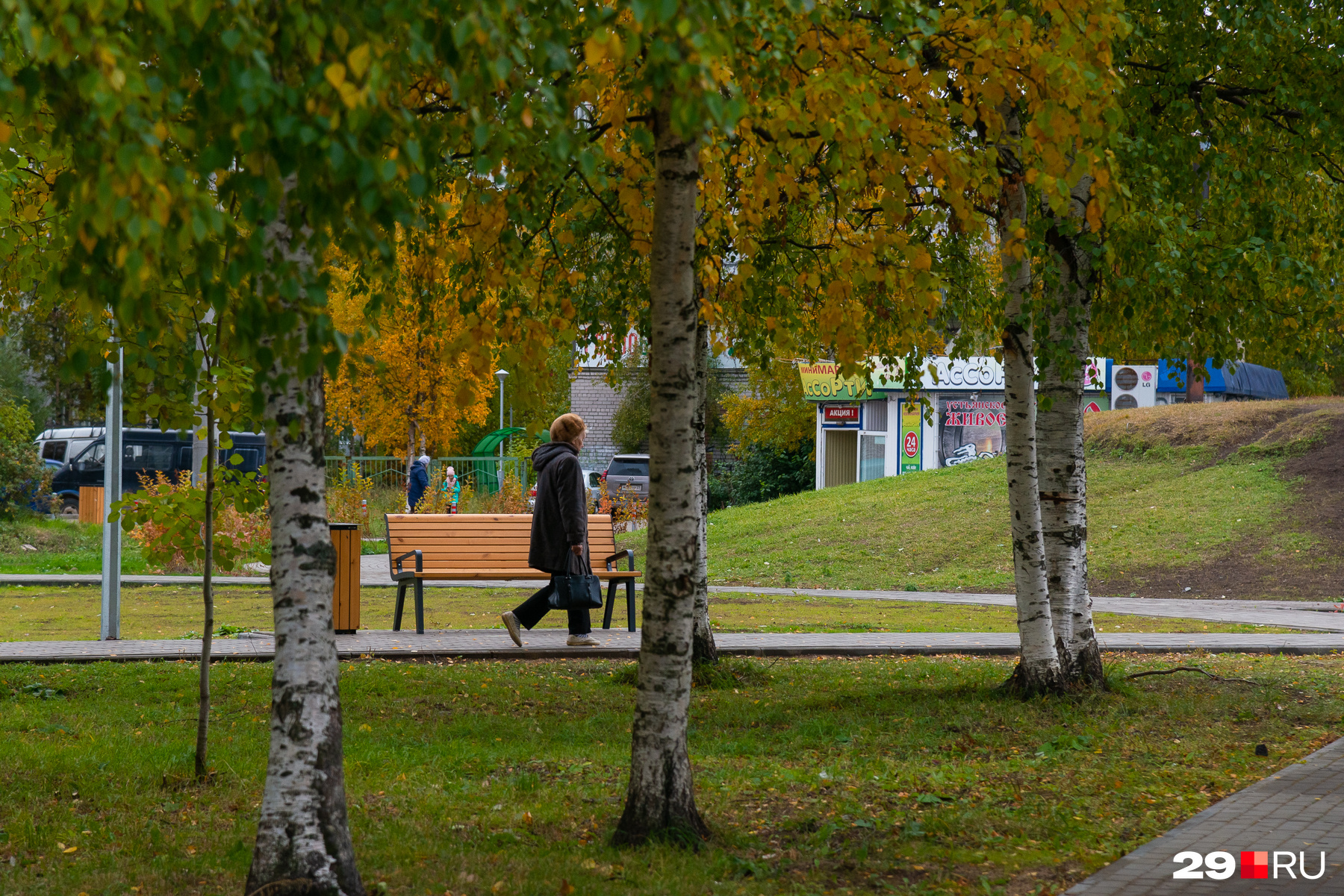 Березовая аллея 25 петрозаводск фото