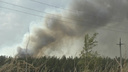 В региональном МЧС уточнили площадь природного пожара в Бузулукском бору