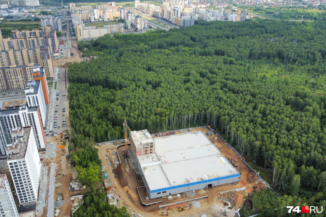 Если посмотреть на лес сверху, видно, что он довольно густой и занимает обширную территорию Если посмотреть на лес сверху, видно, что он довольно густой и занимает обширную территорию