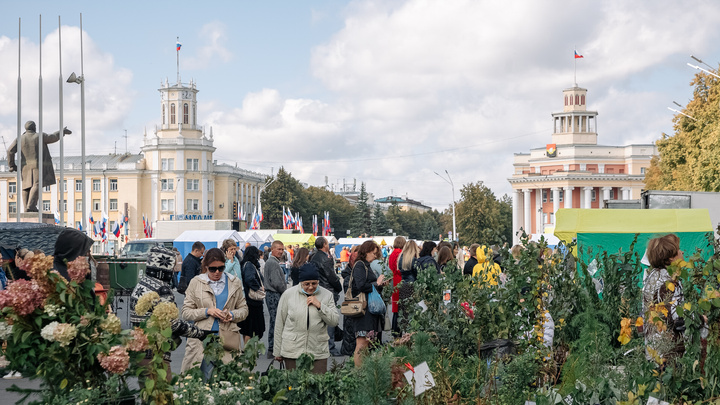 Кемеровчане предложили проводить ярмарки на Московской площади: ответ властей