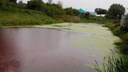 Река под Волгоградом превратилась в кровавый водоем. Местные жители бьют тревогу