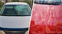 «Чудом не попало по голове»: в Новосибирске хулиганы закидали припаркованные машины шарами с водой