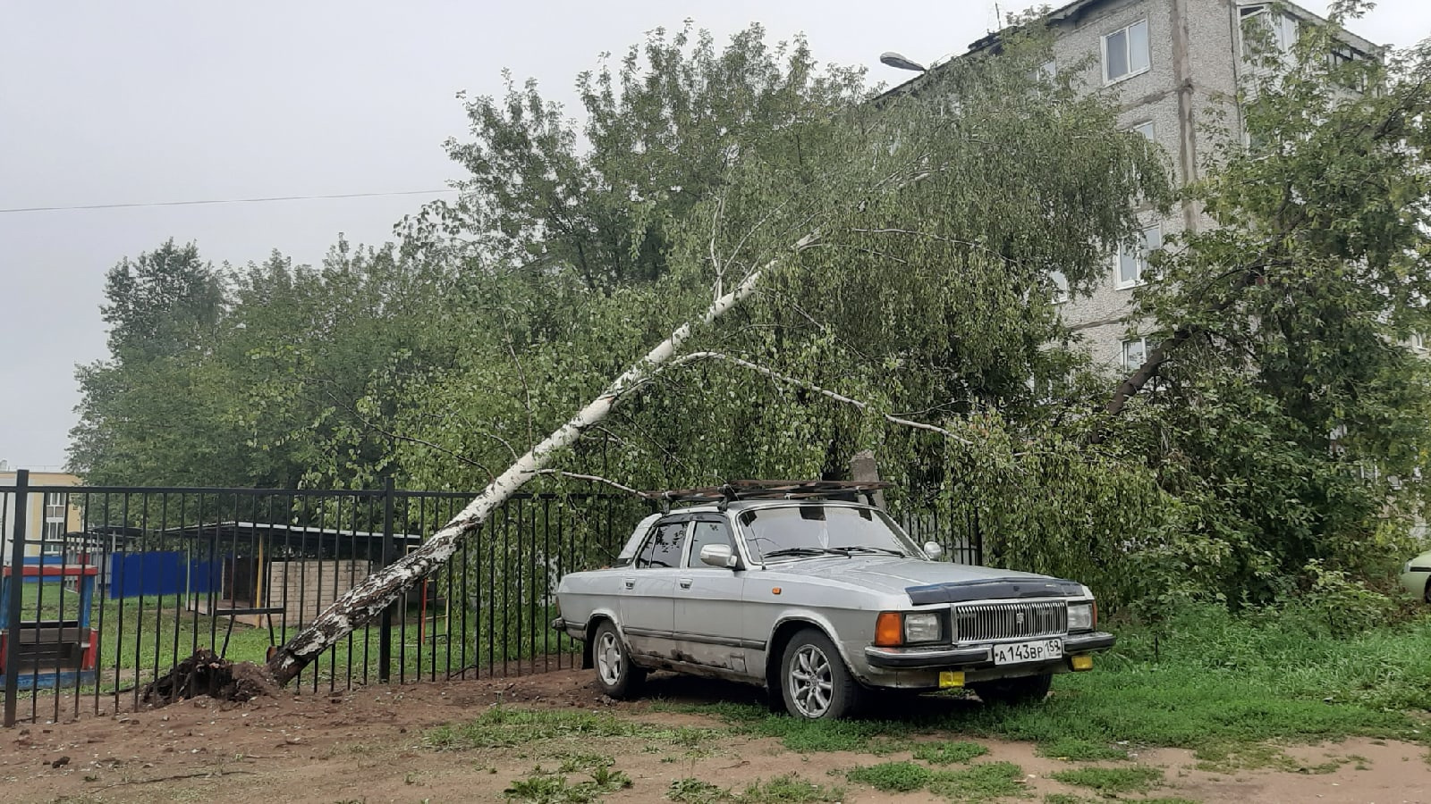 В Краснокамске машине повезло, что дерево упало на забор
