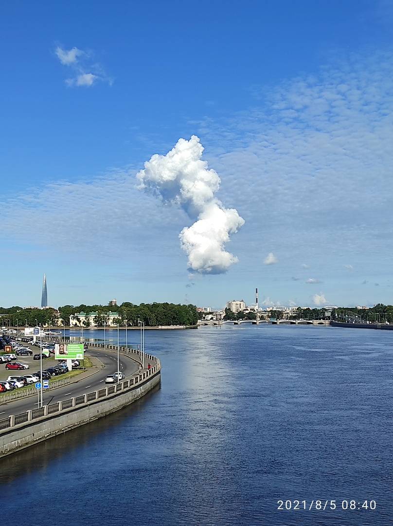 Странное облако встало над Петербургом. Горожане в недоумении, энергетики  уверяют, что они ни при чём - 5 августа 2021 - ФОНТАНКА.ру