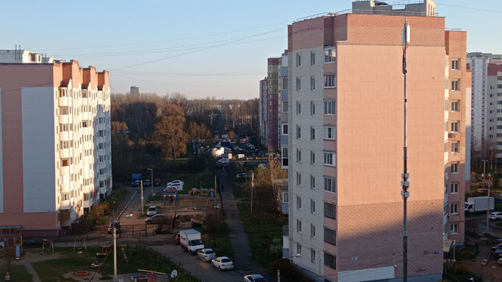 В Ярославской области зафиксирован тепловой рекорд. Но скоро ударят январские морозы
