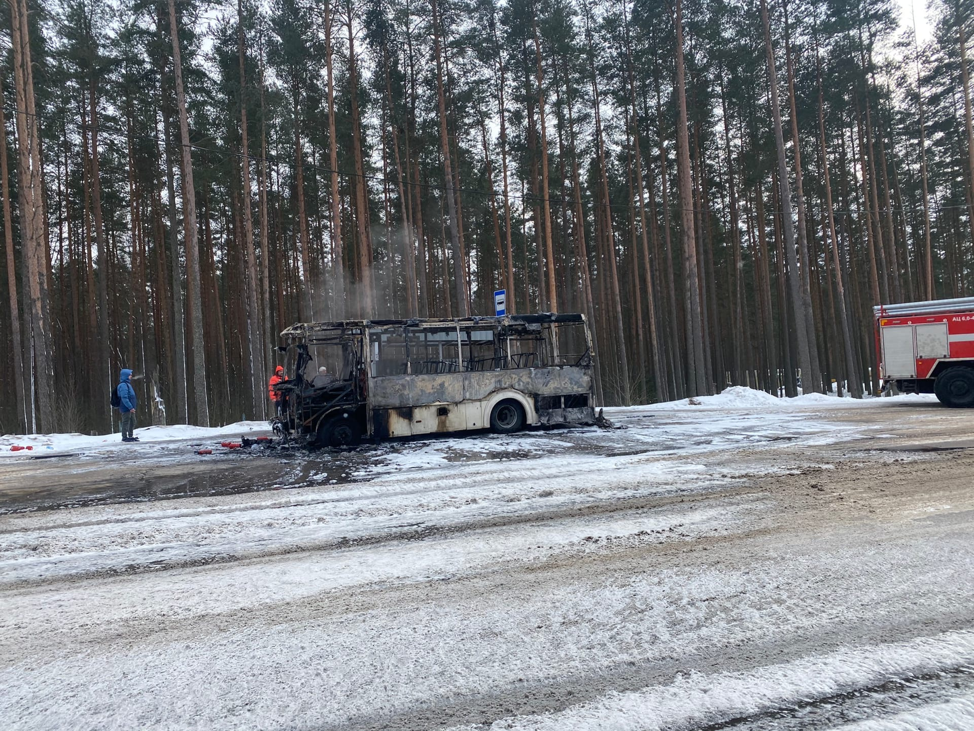 Автобус сгорел на остановке на Приморском шоссе под Петербургом