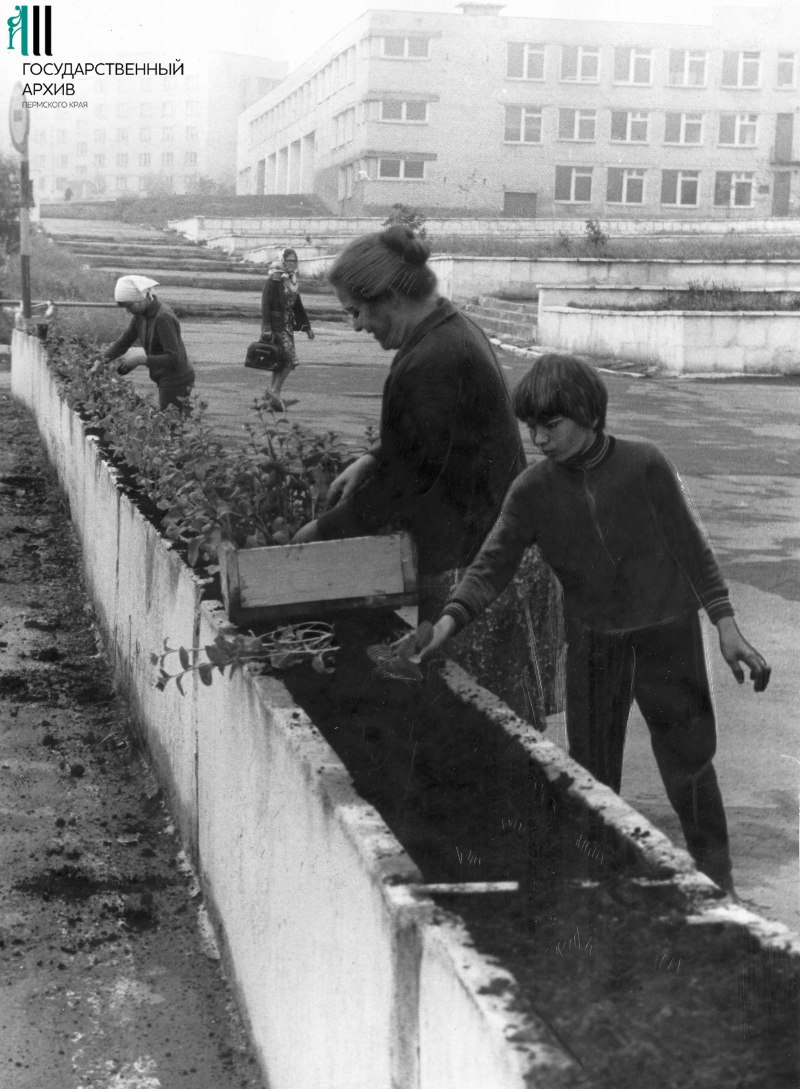А порой школьников привлекали к озеленению улиц, как это звено цветоводов-декораторов школы поселка Майского. 1983 год