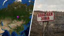 «Качались люстра и кровать»: в Новосибирске почувствовали землетрясение, которое произошло утром в Монголии