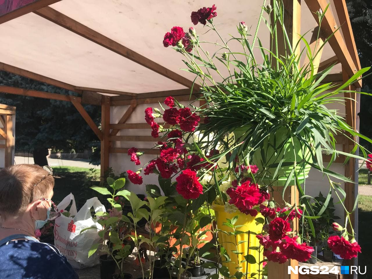 Здесь же можно купить многолетние цветы для своего участка и узнать, как о них заботиться Здесь же можно купить многолетние цветы для своего участка и узнать, как о них заботиться