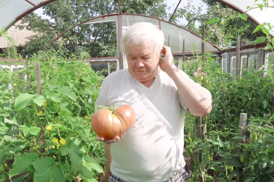 Виктор Стародумов Виктор Стародумов