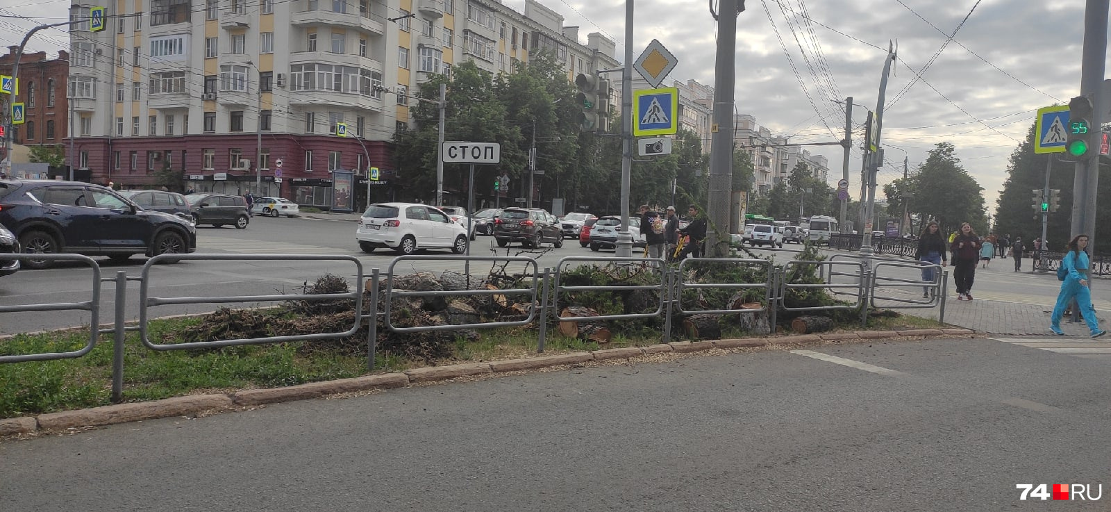 Спиленные деревья заметили горожане во вторник Спиленные деревья заметили горожане во вторник