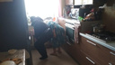 «Мерзнут старики и дети»: в Ярославле жильцы дома в <nobr class="_">20-градусные</nobr> морозы на сутки остались без отопления