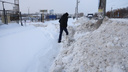 «Люди забыли, что такое человеческая зима»: что случилось с погодой в России и какой будет весна