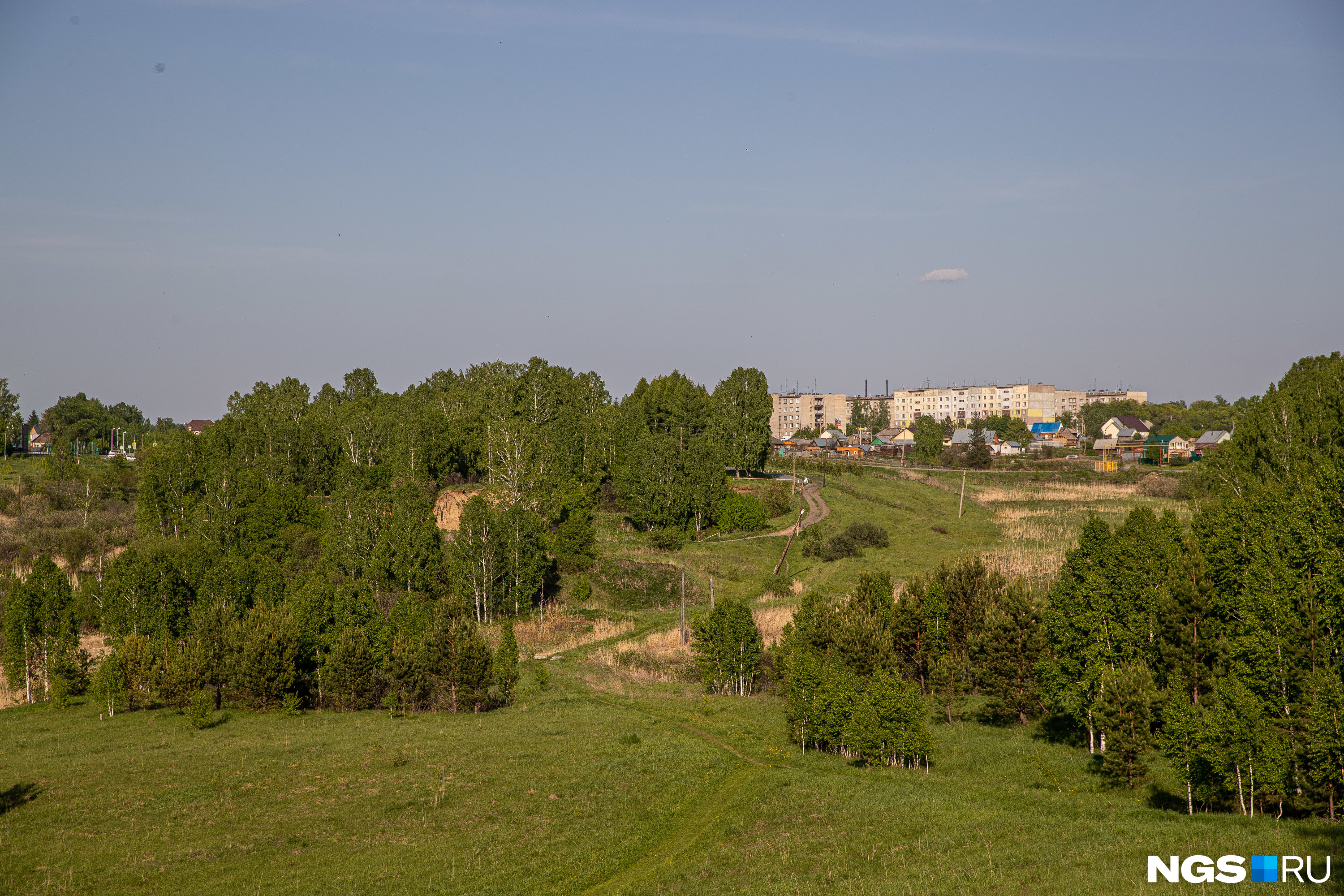 Мошково болотное. Поселок Мошково. Мошково Новосибирская область. Мошково фото. Мошково около Княщин.