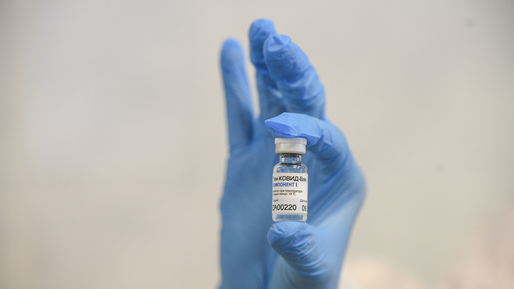 Эксперимент E1.RU. Проверяем, сколько у нас осталось антител через полгода после прививки «Спутником V»