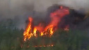 На юге Челябинской области зафиксировали 1700 очагов возгорания. Весь масштаб <nobr class="_">бедствия —</nobr> в одной картинке