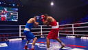 В Самарской области откроют центры бокса