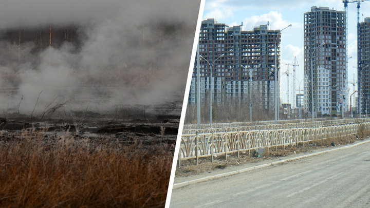 На месте горящих торфяников в Екатеринбурге появятся жилые дома. Насколько это безопасно?
