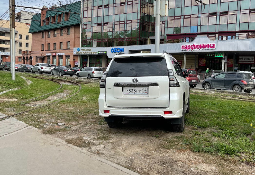 На траве среди рельс На траве среди рельс