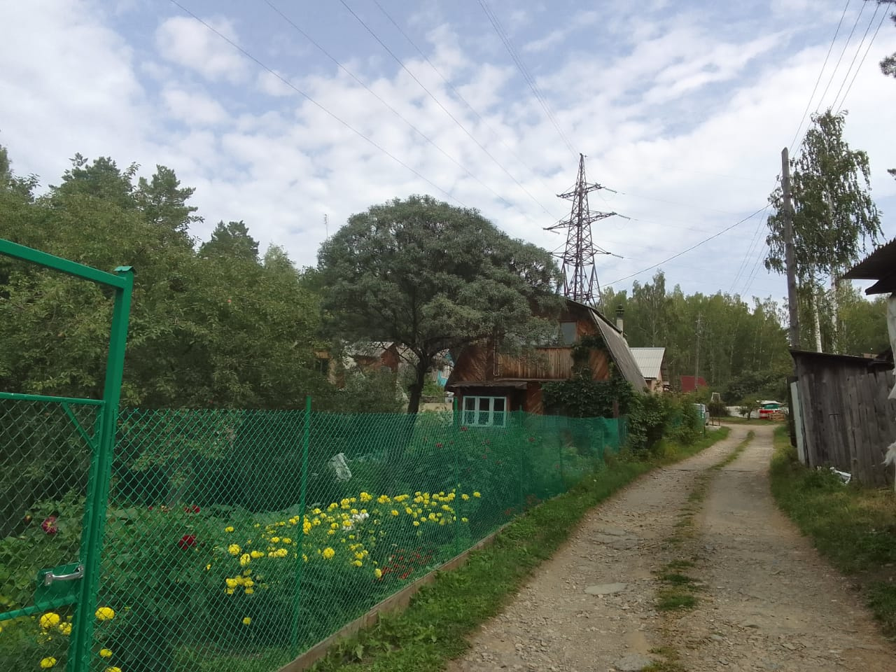 После выброса дачи накрыло едким туманом После выброса дачи накрыло едким туманом