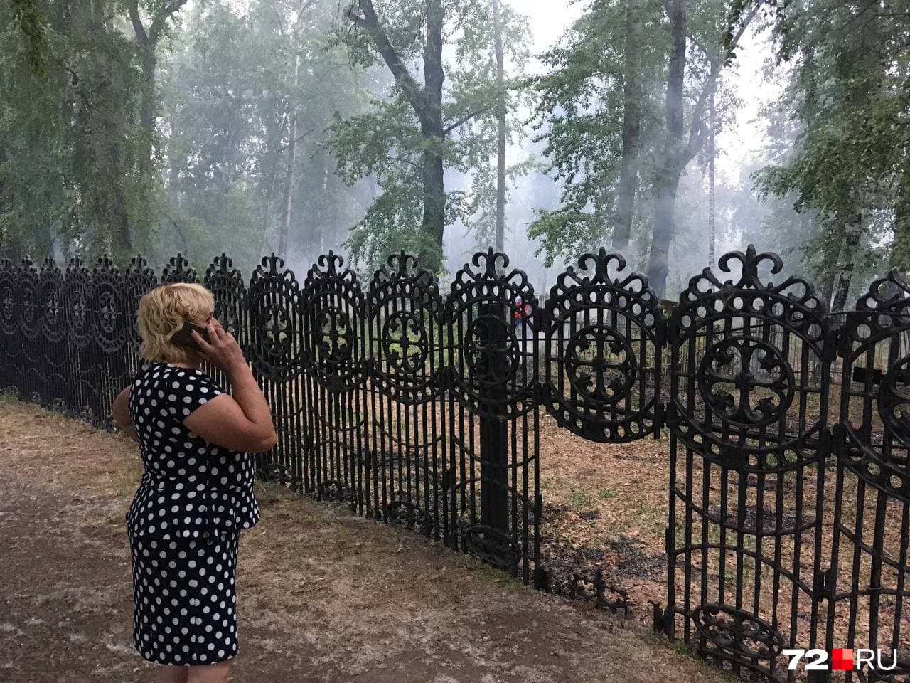 По словам Галиева, островки горящего пуха разлетелись по всей округе, но горело в основном на кладбище По словам Галиева, островки горящего пуха разлетелись по всей округе, но горело в основном на кладбище