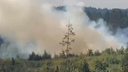 Из-за лесного пожара в Тольятти ввели режим ЧС