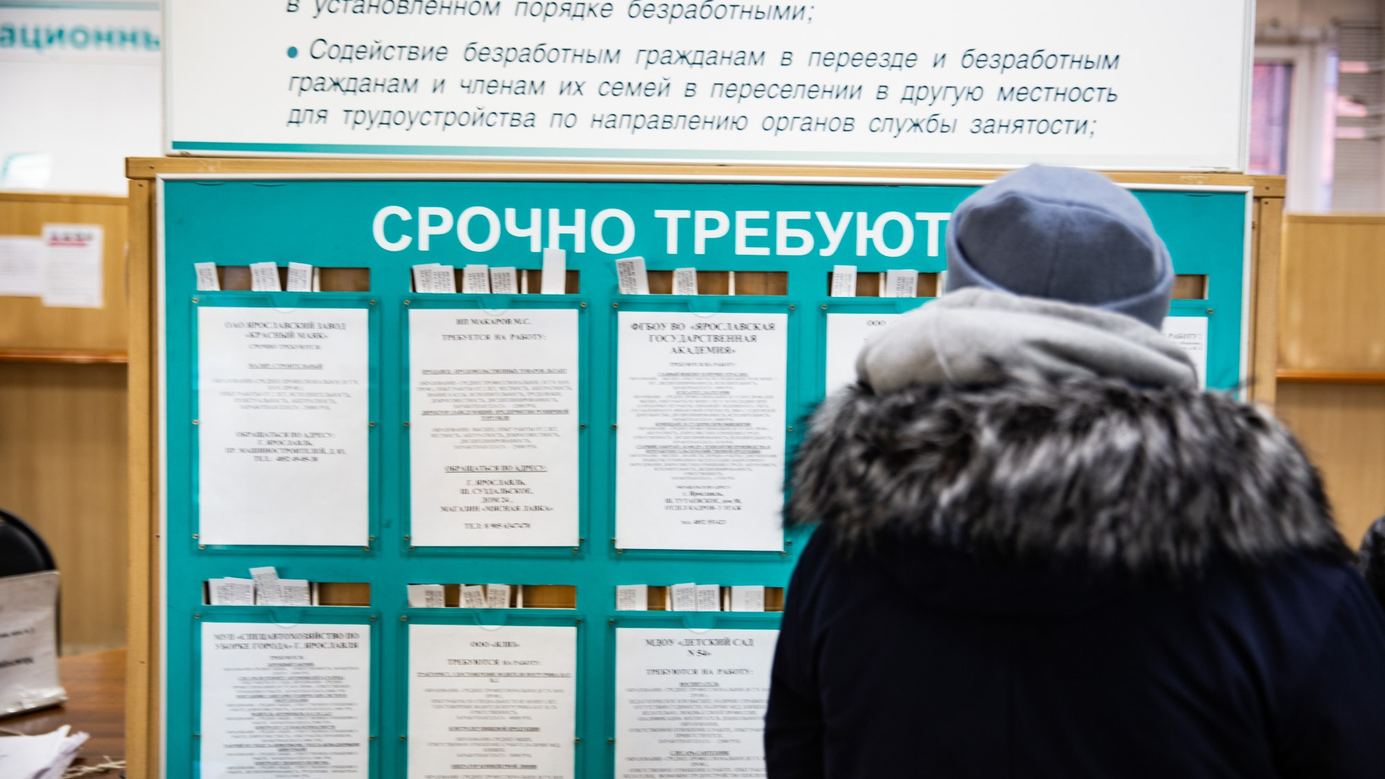 Зарплаты до 90 тысяч: в Ярославле назвали пять самых высокооплачиваемых вакансий