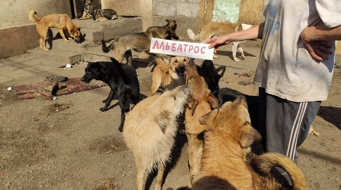 «Альбатрос» — кодовое слово, которое доказывает, что фото было сделано в этом месяце «Альбатрос» — кодовое слово, которое доказывает, что фото было сделано в этом месяце