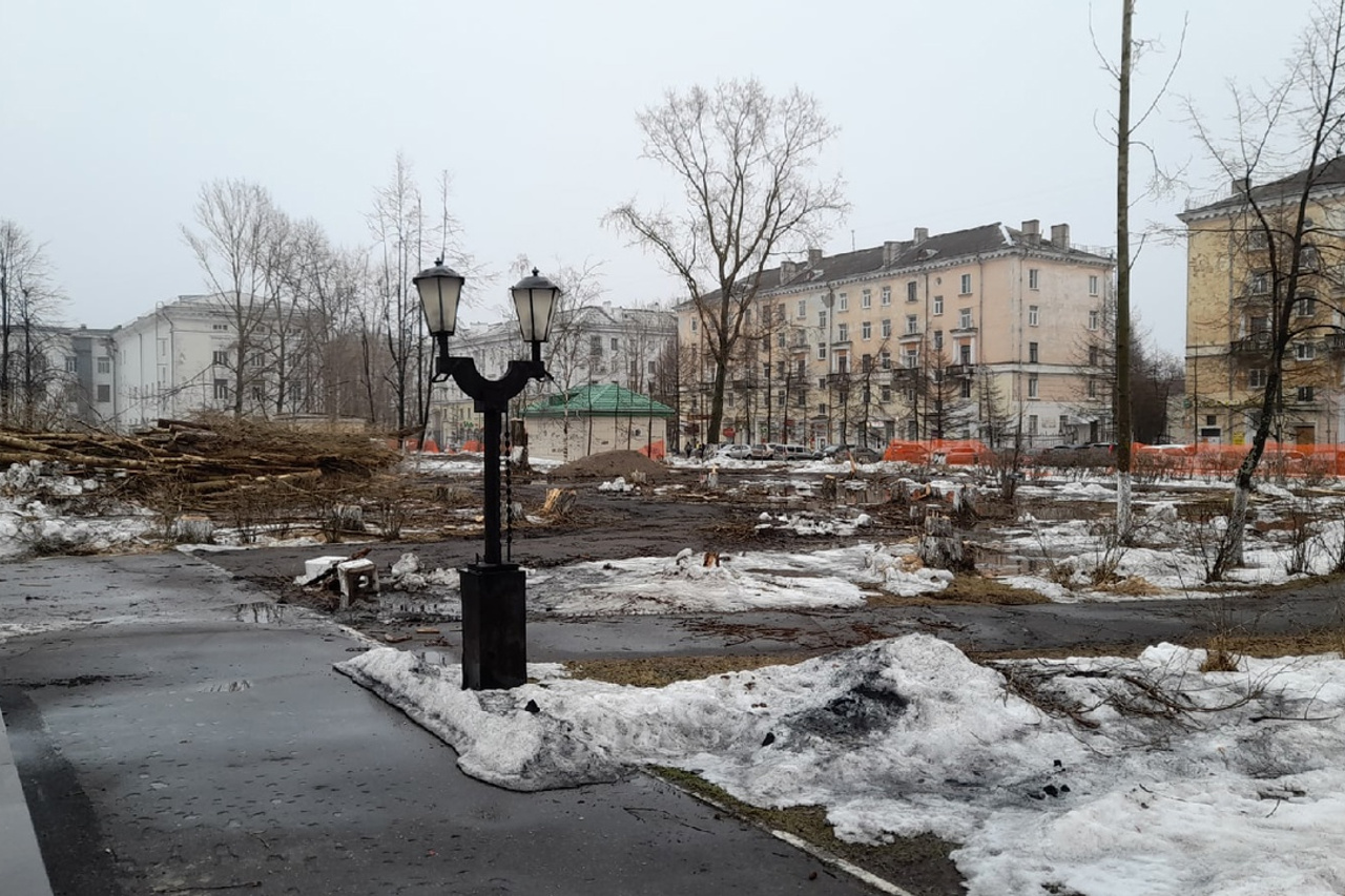 Зачем в центре Северодвинска вырубили в сквере Ветеранов все деревья - 2апреля 2021 - 29.ru