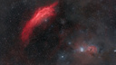 Новосибирец снял красную туманность Калифорния в небе Алтая — показываем фото