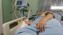 «Точно определить непросто, даже в условиях больницы»: ученые рассказали, как микоплазменная пневмония маскируется под ОРВИ