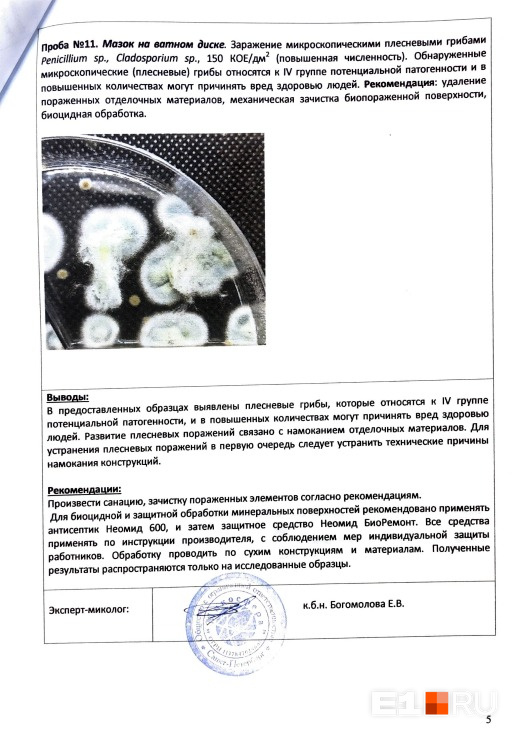 В образцах из квартиры на Широкореченской нашли грибы <nobr class="_">IV группы</nobr> патогенности