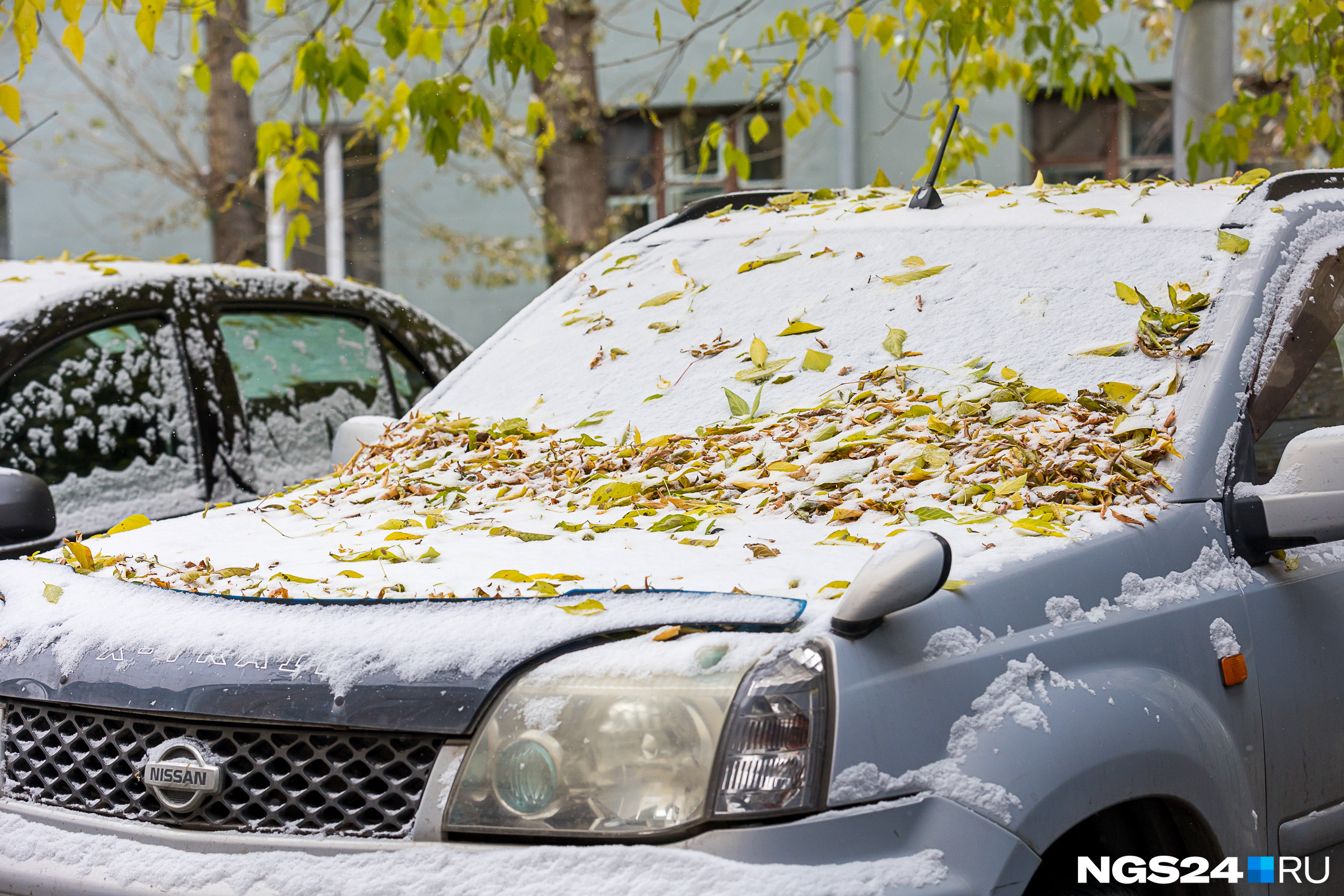 Сегодня машину чистили и от листьев, и от снега, и от грязи