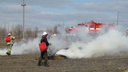 В Волгоградской области 19 человек потушили крупный лесной пожар