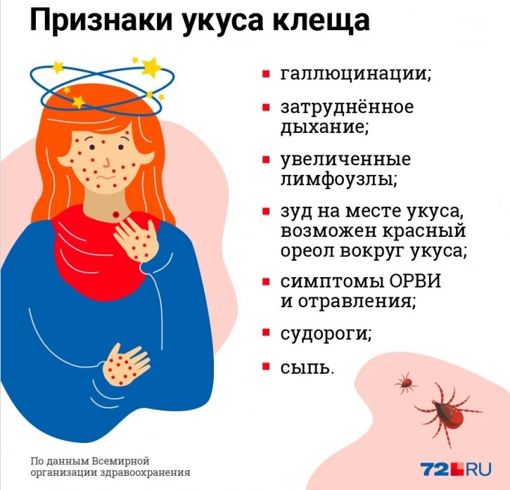 Сохраняйте эту памятку до холодного времени года, когда клещи на время перестанут атаковать горожан. Весной в медучреждении <a href="https://72.ru/text/health/2021/05/09/69906128/" class="_ io-leave-page" target="_blank">был настоящий ажиотаж</a> Сохраняйте эту памятку до холодного времени года, когда клещи на время перестанут атаковать горожан. Весной в медучреждении <a href="https://72.ru/text/health/2021/05/09/69906128/" class="_ io-leave-page" target="_blank">был настоящий ажиотаж</a>