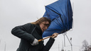 Сильный ветер, дождь и заморозки: МЧС и синоптики предупредили об изменении погоды в Ярославле