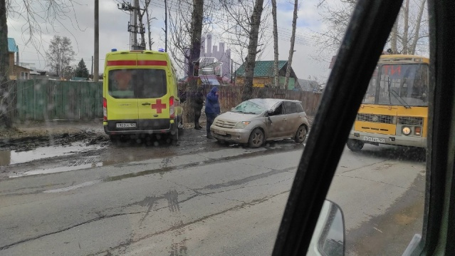 Тополь приземлился на движущуюся машину Тополь приземлился на движущуюся машину