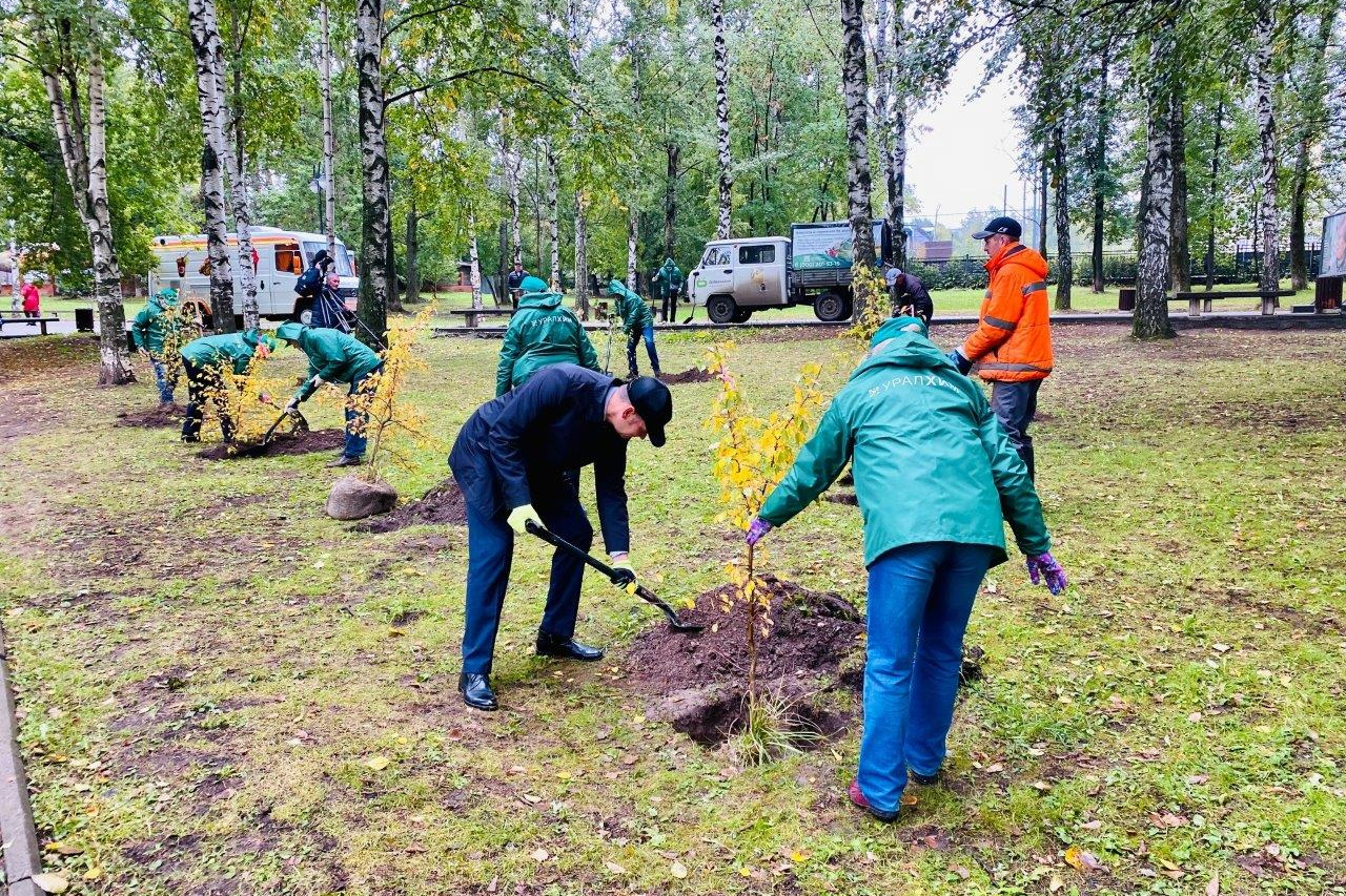 Свежие новости перми и пермского края. Экология Перми. Горзеленстрой высадка деревья. Эколог Екатерина Овчинникова. ПМУ УРАЛХИМ Пермь деревья.