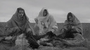 Австрийский лейбл выпустил премьеру клипа омской группы Nytt Land. Посмотрите его прямо сейчас