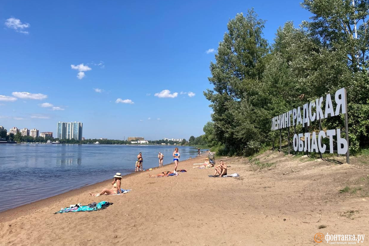 Добро пожаловать в Новосаратовку! Девелоперы Мурино и Кудрово присмотрели  новую землю под Петербургом - 8 июля 2021 - ФОНТАНКА.ру