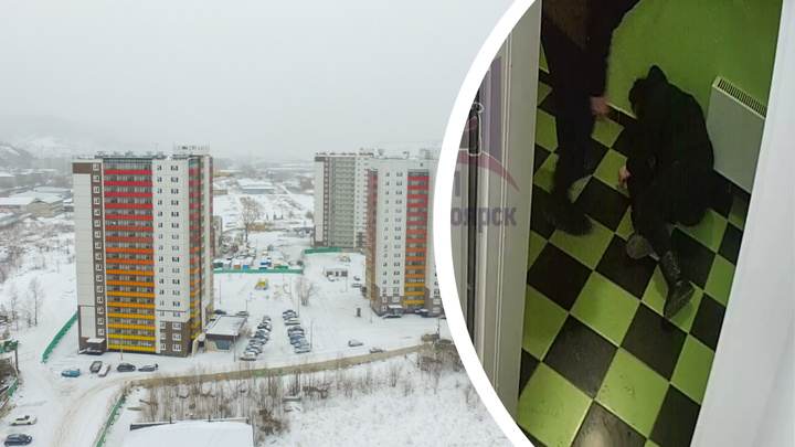 Молодой человек избил девушку в лифте дома на Свердловской: видео
