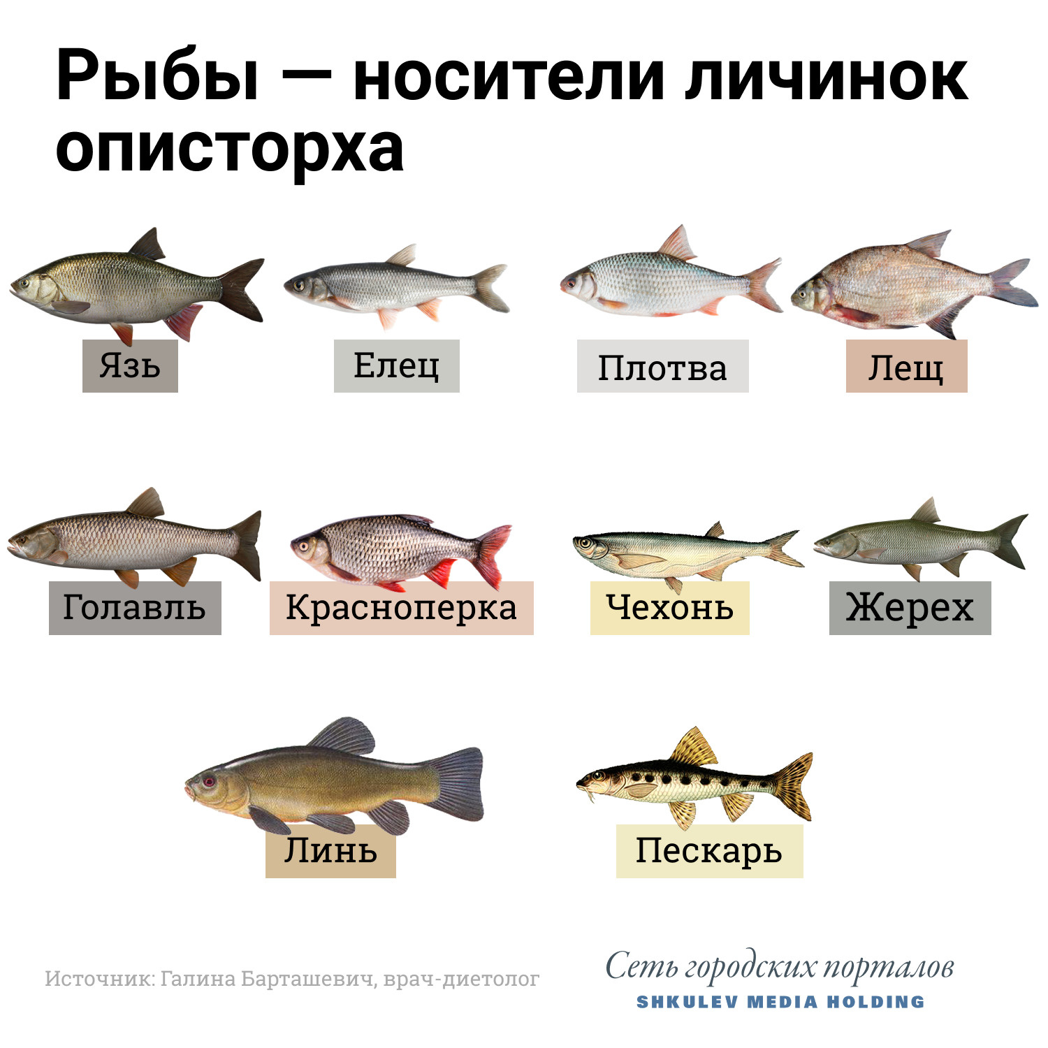 рыбы перечень