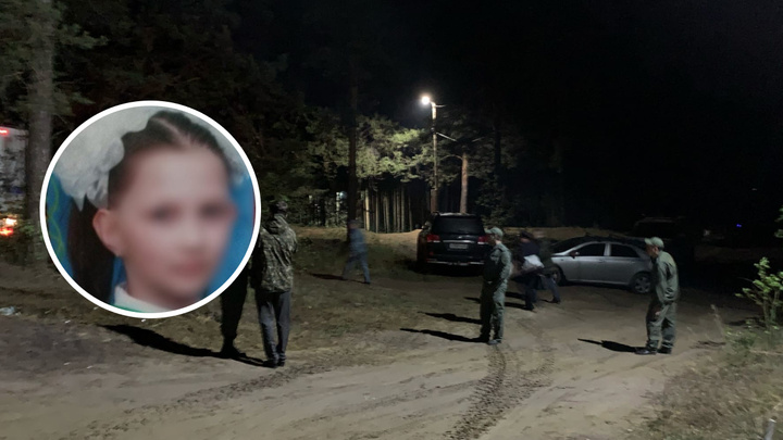 Полиция и СК продолжают поиск подозреваемого: что известно об убийстве девочки в Большом Козино