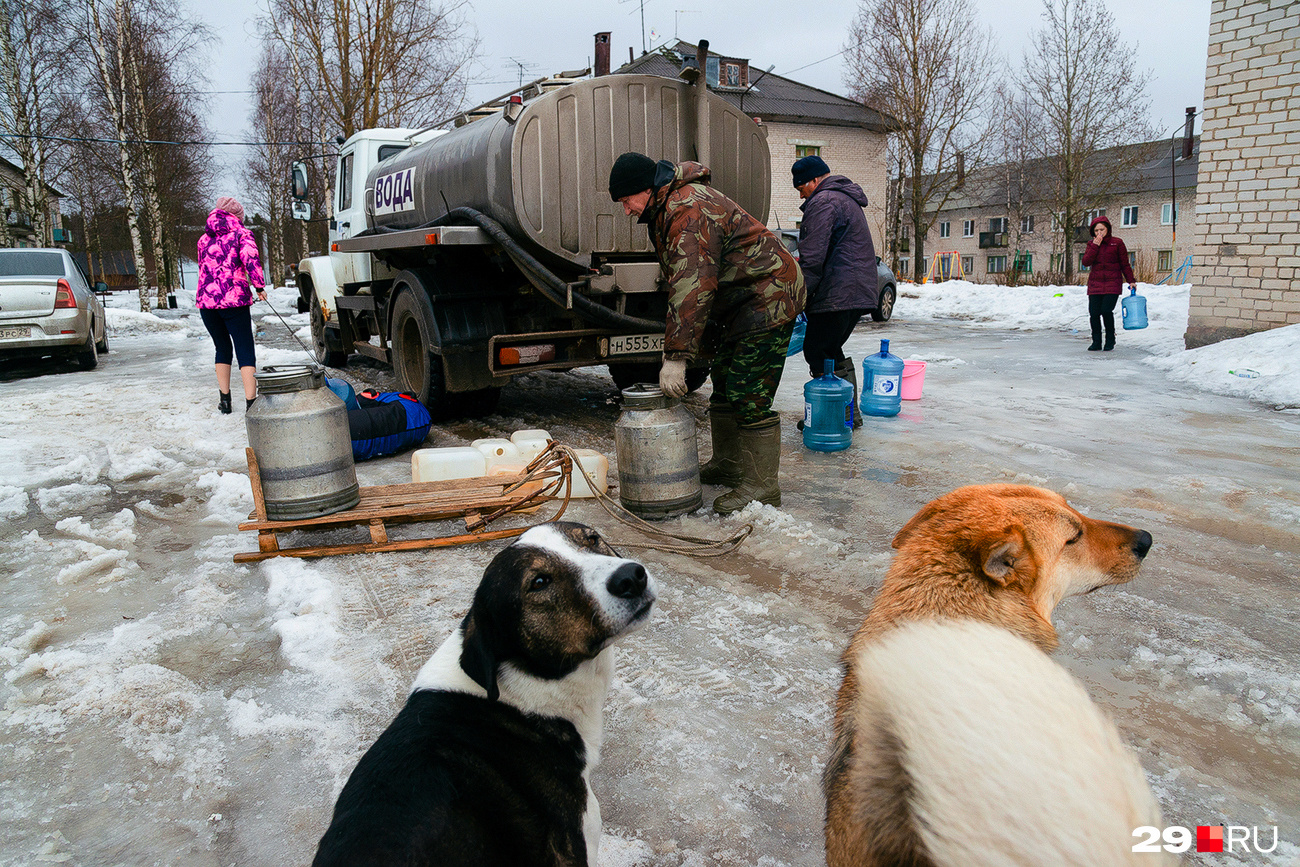 Никуда не уходят и традиционные отключения воды. Особенно <a href="https://29.ru/text/house/2021/03/30/69839882/" class="_" target="_blank">не везет жителям Рембуево</a>, где водопровод за зиму замерзал не менее семи раз Никуда не уходят и традиционные отключения воды. Особенно <a href="https://29.ru/text/house/2021/03/30/69839882/" class="_" target="_blank">не везет жителям Рембуево</a>, где водопровод за зиму замерзал не менее семи раз
