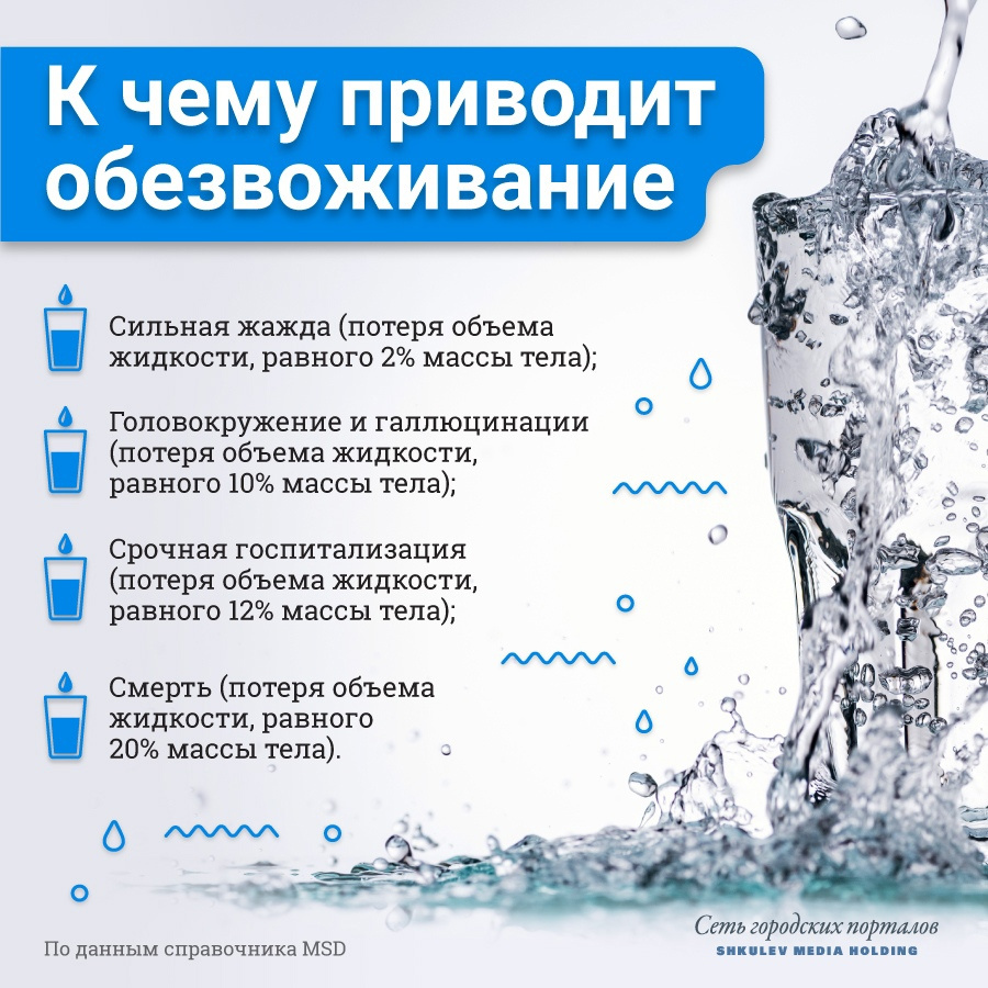 Когда, сколько и как пить воду: считать ли за питье воды другие напитки и супы - 8 августа 2021 - Фонтанка.Ру