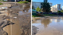 «Та еще грязная помойка»: ярославцы назвали самый нечистоплотный район города