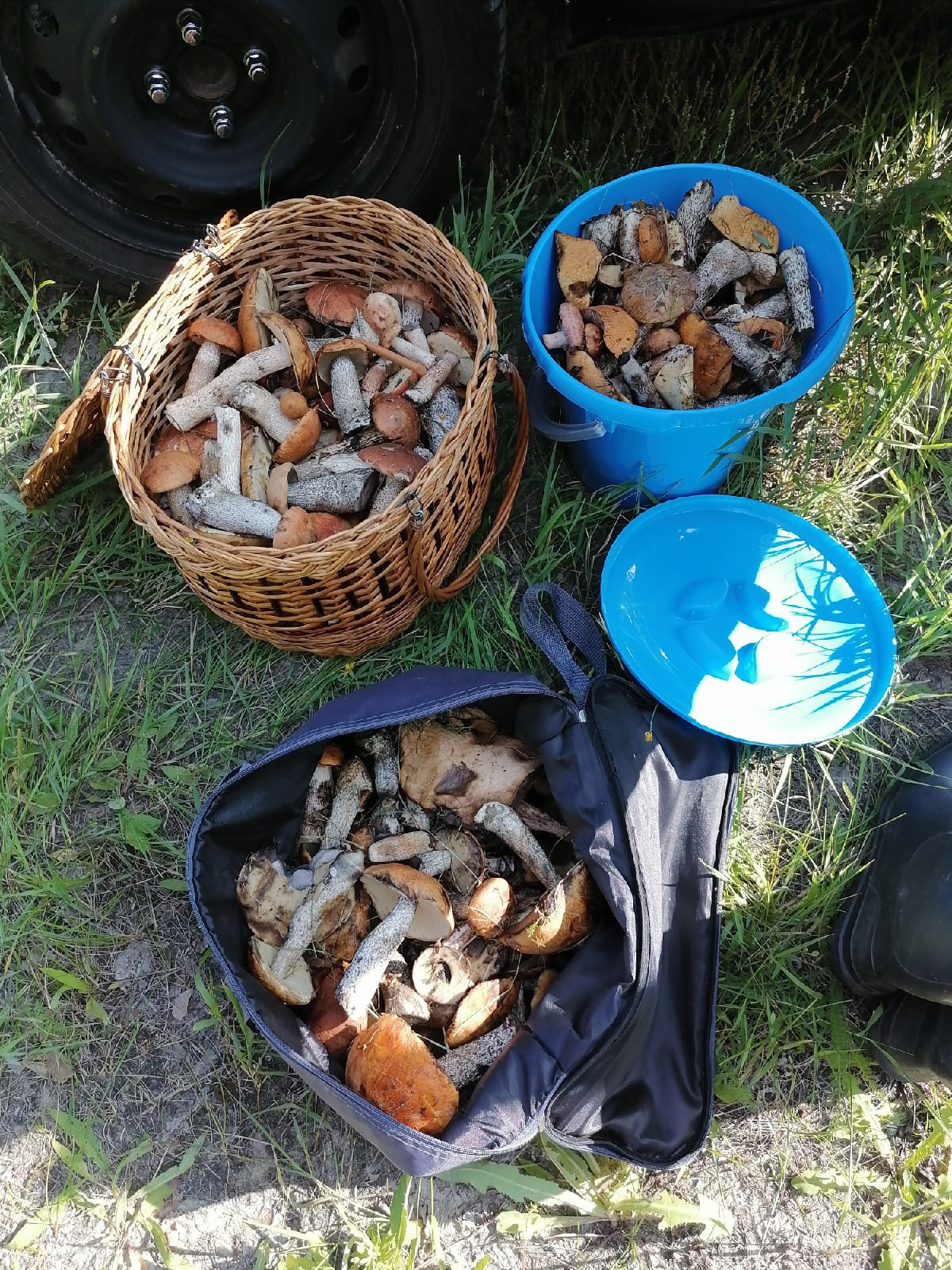 Тут и корзинка полная, и ведро, и пакет Тут и корзинка полная, и ведро, и пакет