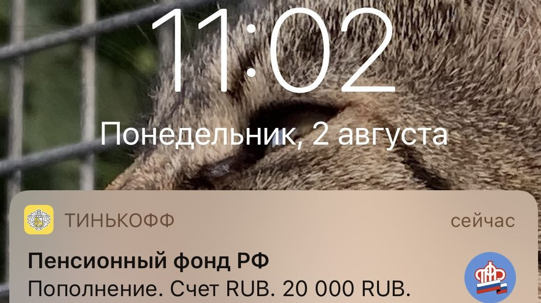 Поступили деньги сразу за двоих детей Поступили деньги сразу за двоих детей