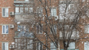 Синоптики рассказали, когда в Волгограде выпадет первый снег