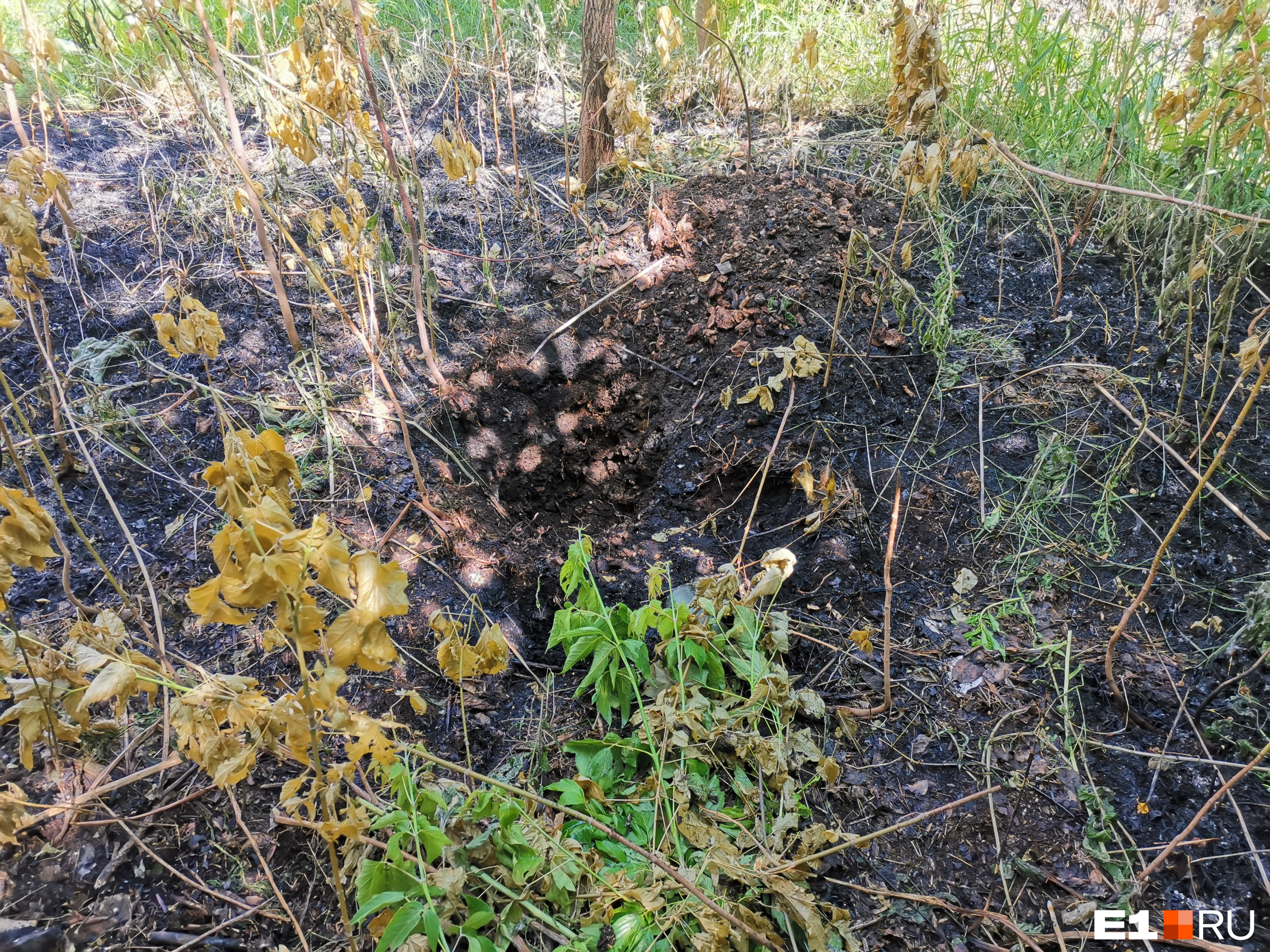 Неподалеку от места пожара на Полежаевой горела трава и кусты. Местные жители нашли под землей кусок тлеющего грунта. Они считают, что брикет могли заложить поджигатели. Но, возможно, это просто торф